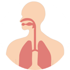 Nutrición Nutrición